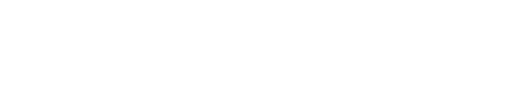 ZipBros